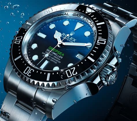 rolex sea dweller perpetual|Rolex deep sea dweller price.